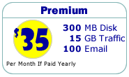 Premium - 300MB Disk, 15GB Traffic, 100 Email